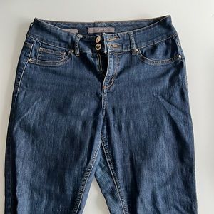 The Limited Skinny Jeans